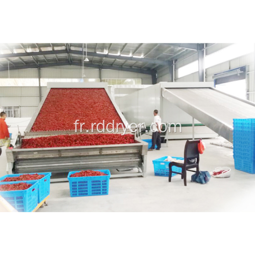 Hot Pepper Dryer Couleur Quality and Energy Saving